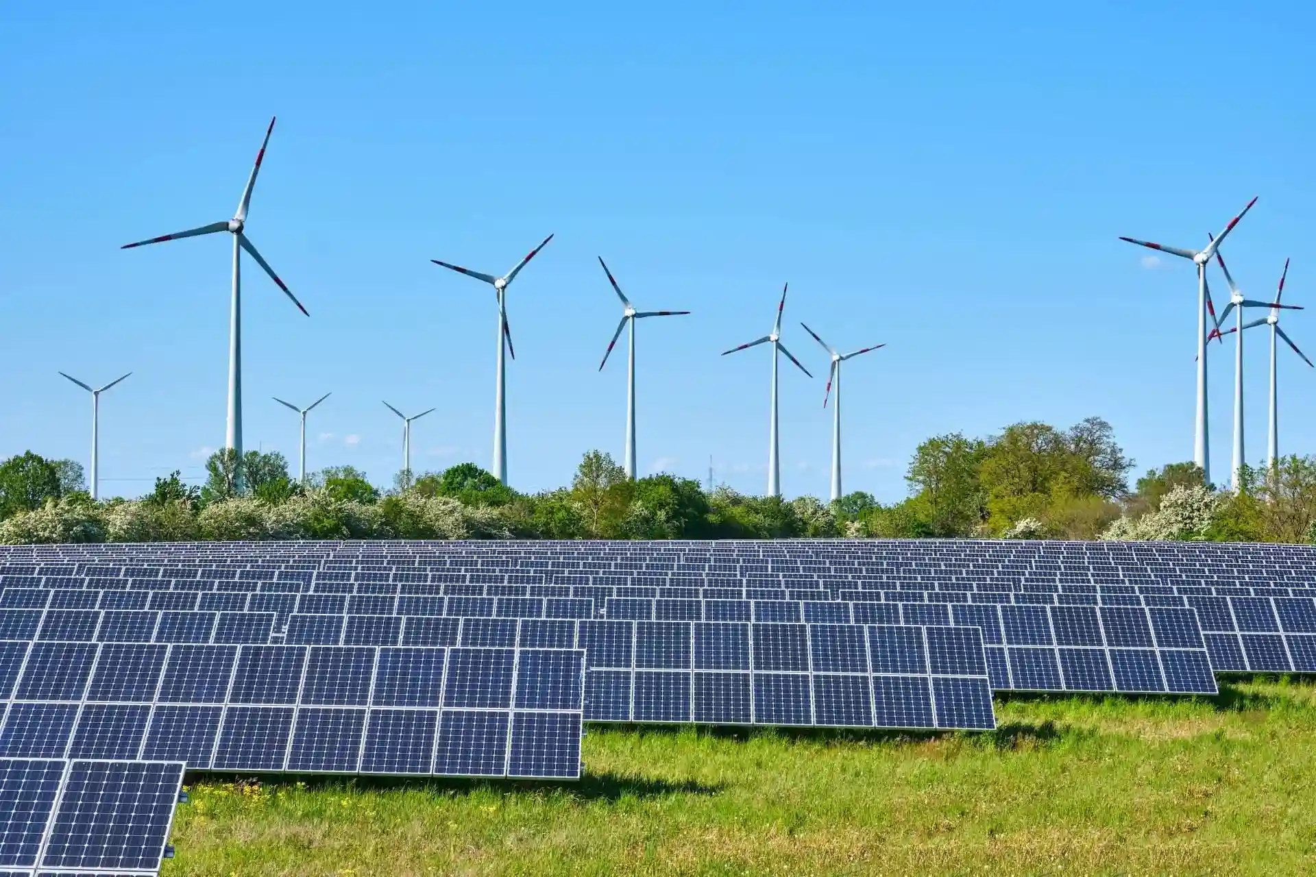 The Future of Renewable Energy in the U.S.