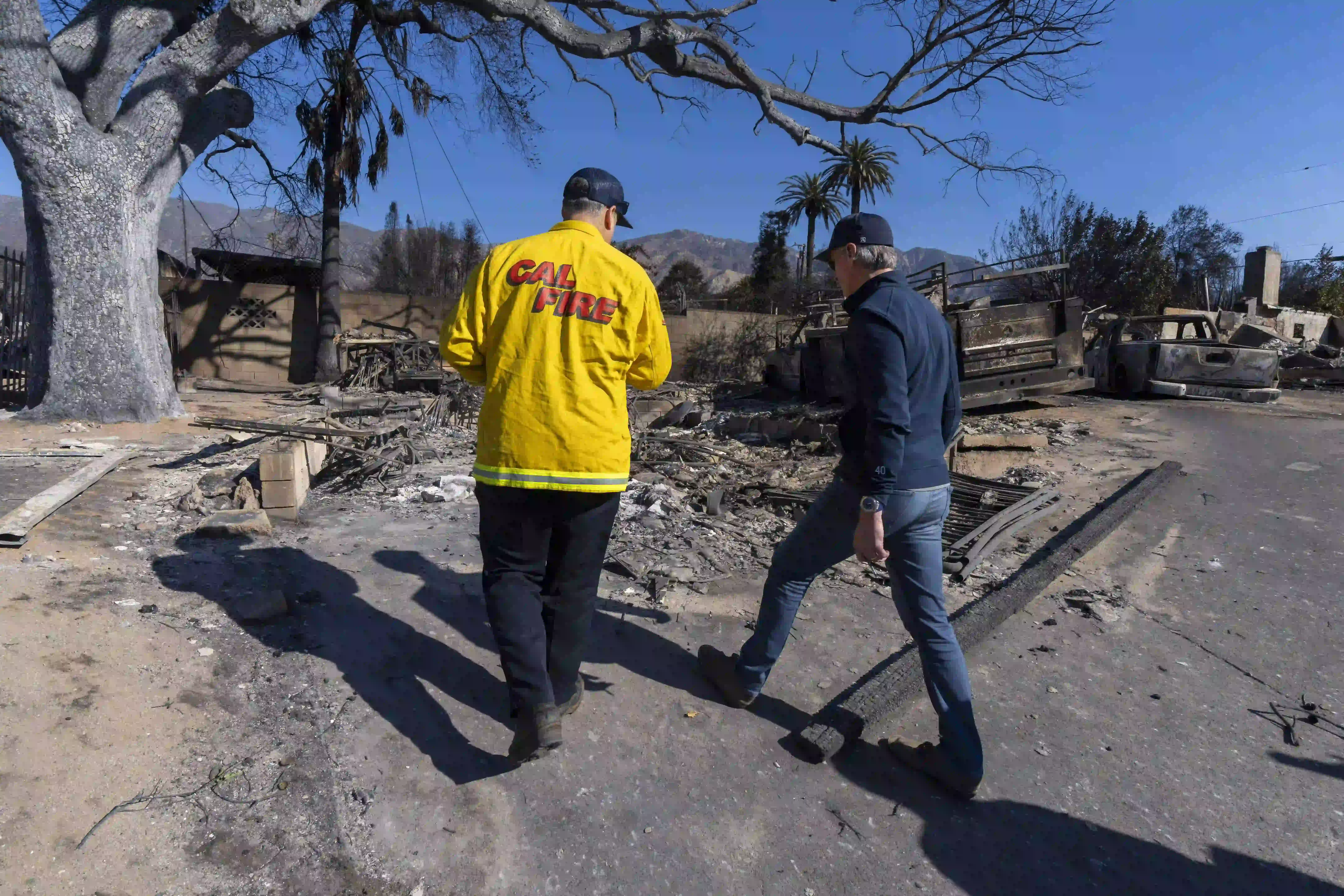 California Launches Wildfire Recovery Program
